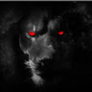 Meet your Posher, Silvano